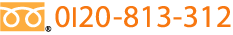 0120-813-312
